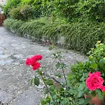 Casa Lastri * Poppi